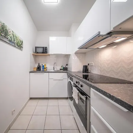 Apartment Magnifique 6 Pers Near Basel Parking Wifi *