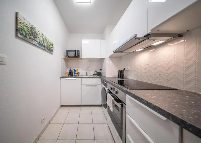 Appartement Magnifique 6 Pers Near Basel Parking Wifi *